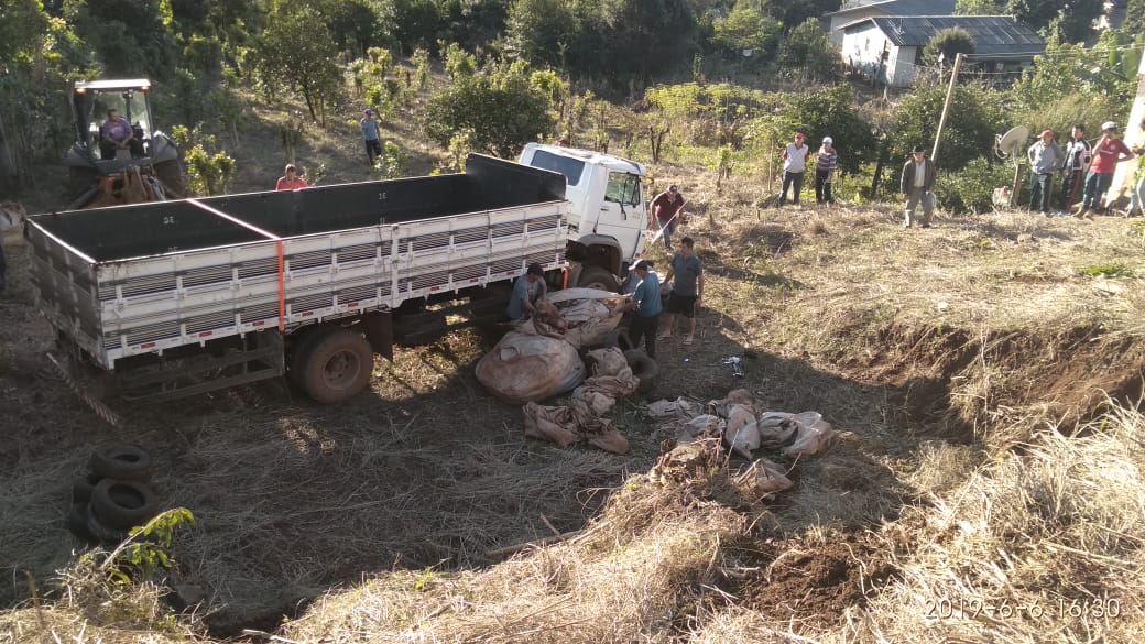 Ir para  <p>O capotamento de um caminh&atilde;o desgovernado assustou moradores de Viadutos na tarde desta quinta-feira. O ve&iacute;culo de carga estava estacionado no acostamento da RS 331, pr&oacute;ximo a uma oficina, na qual passava...